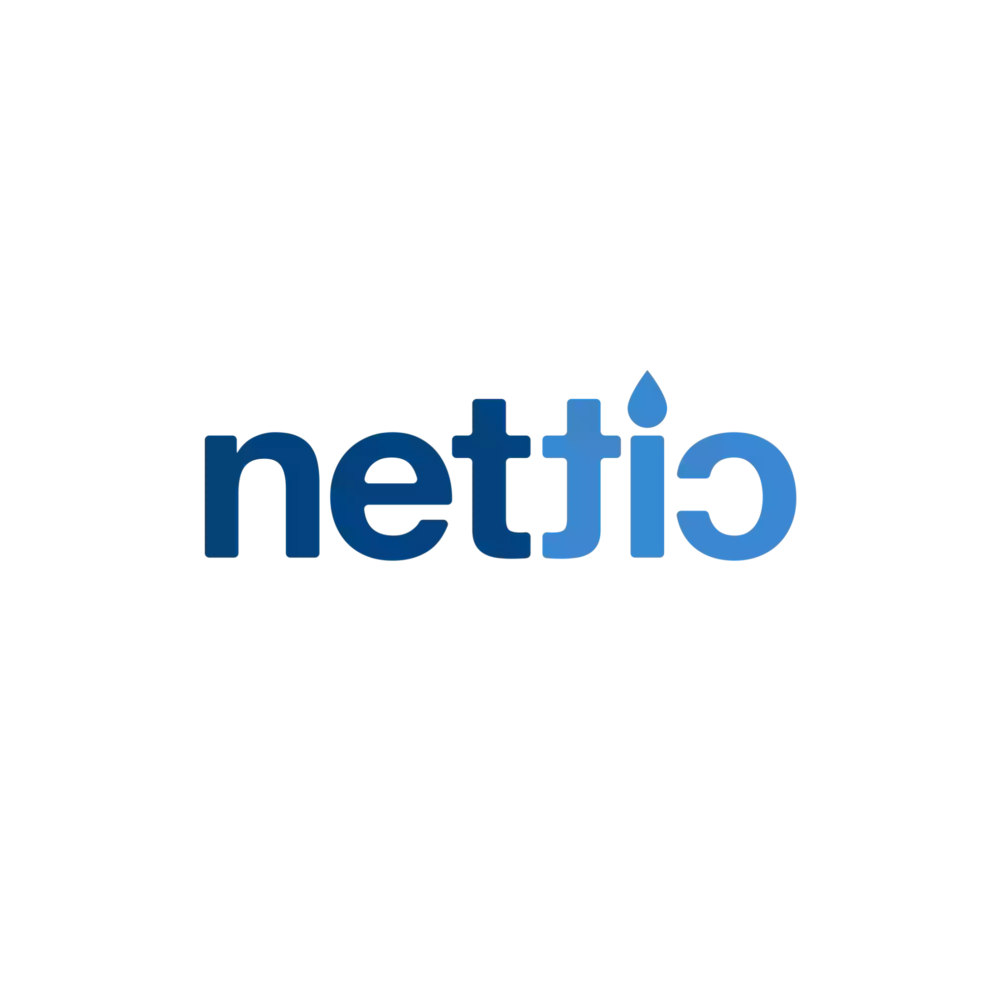 Nettic Solutions