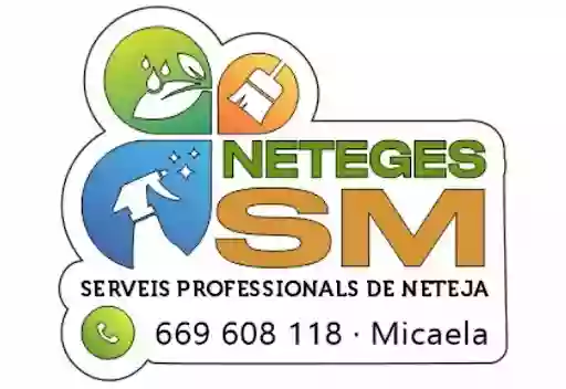 NETEGES SM