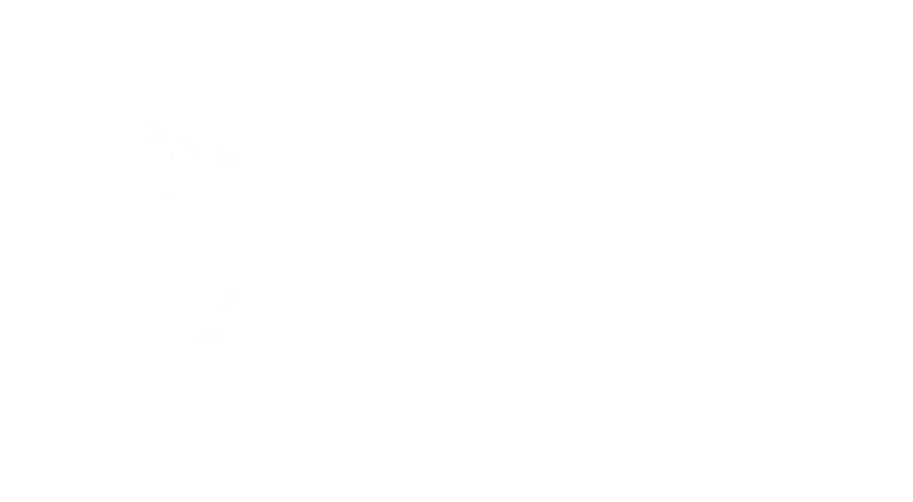 Club Esportiu Mediterrani