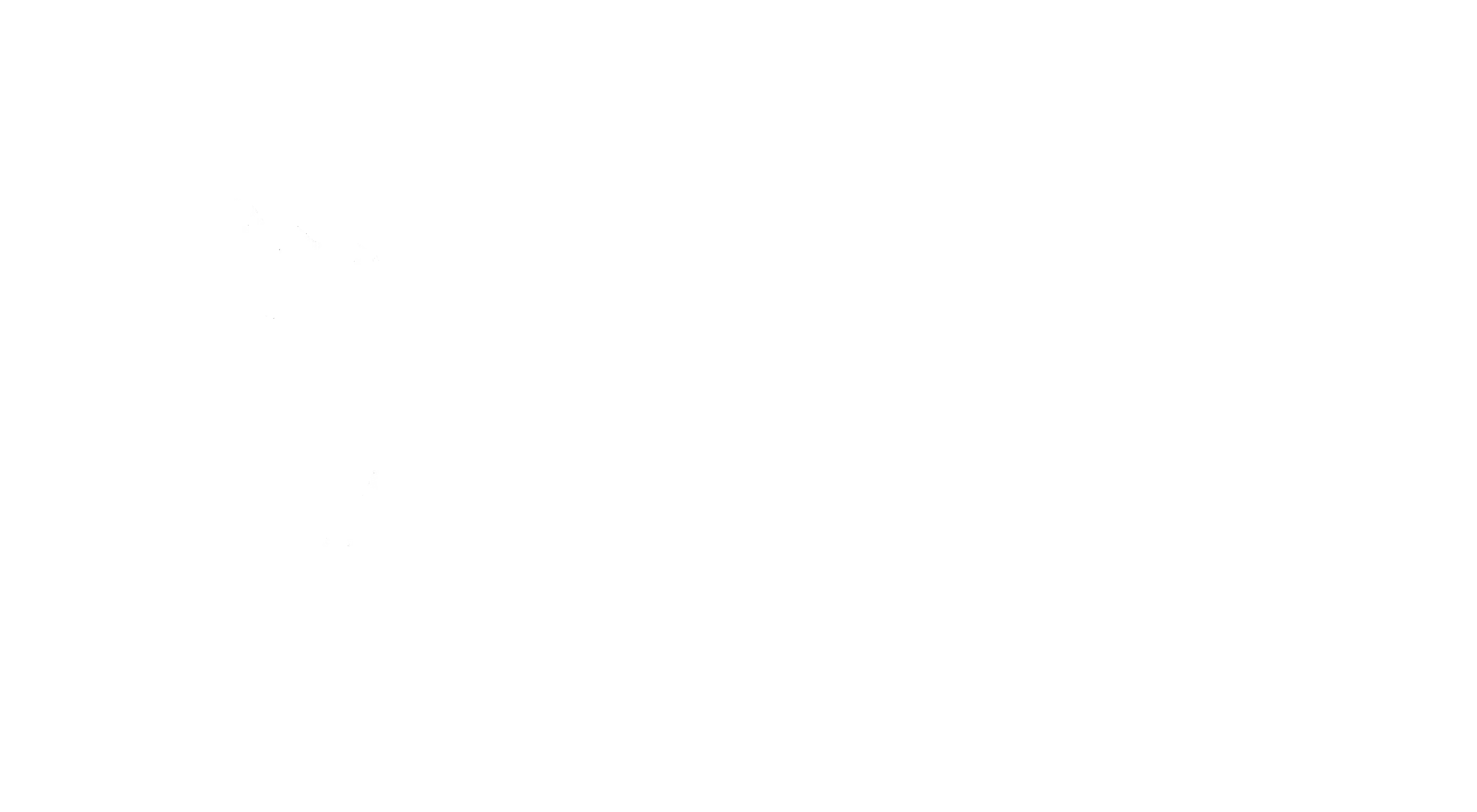 Club Esportiu Mediterrani - Regent Mendieta
