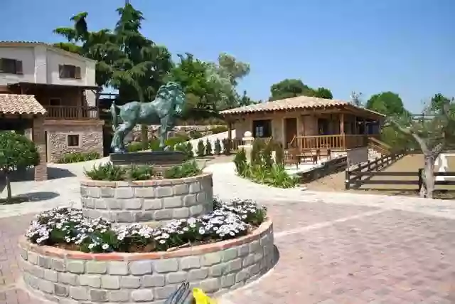 Centro de entrenamiento y escuela de equitación Barcelona Horses School