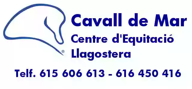 Cavall de Mar