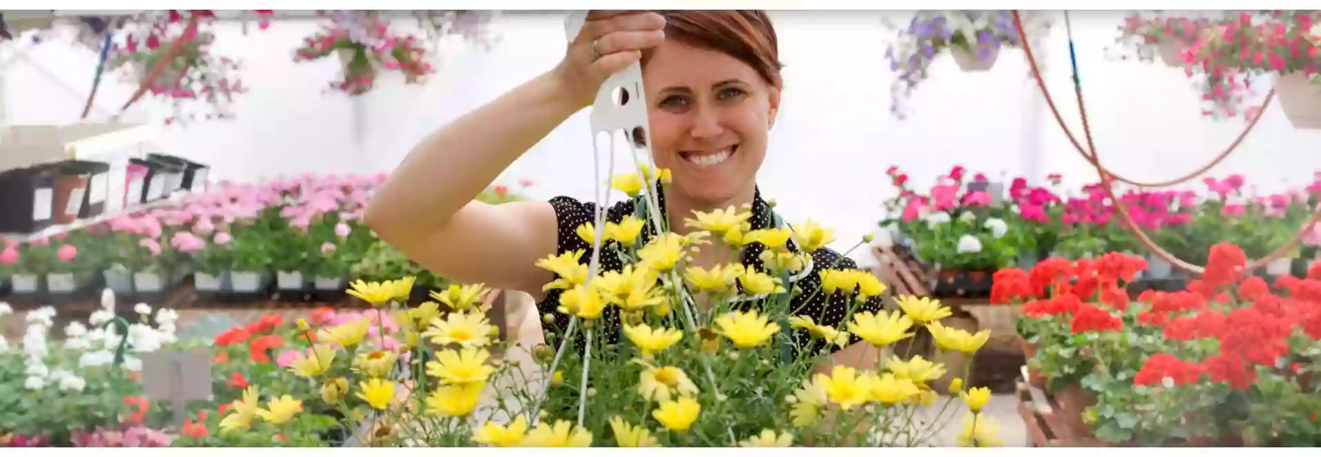 Floristería Balbina