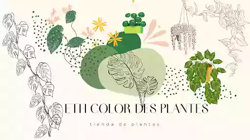 Eth Color Des Plantes