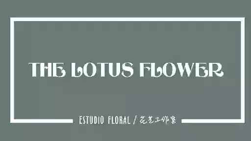 FLORISTERIA THE LOTUS FLOWER