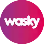 Wasky | Autolavado de mascotas Mérida