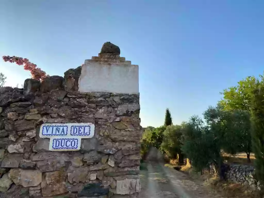 Cortijo Viña del Duco - Azuaga -