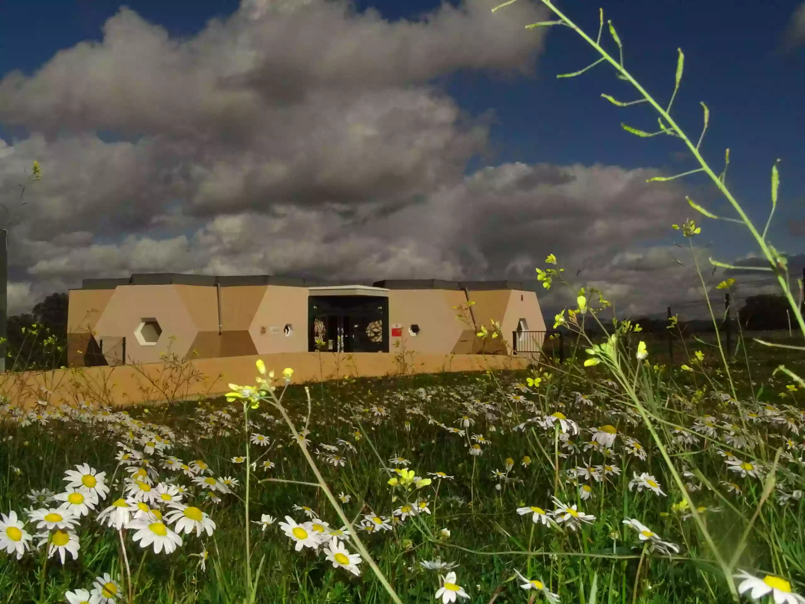 Centro de Actividades Sobre las Abejas y la Biodiversidad