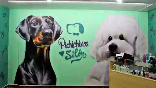 Pichichinos Peluquería Canina