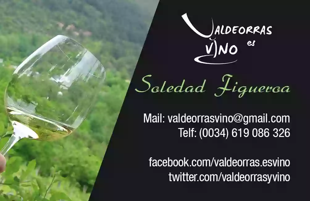 Valdeorras es Vino, enoturismo