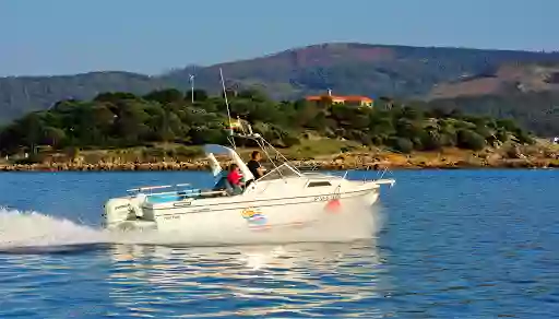 Paseos en barco y salidas de pesca: As de guía turismo náutico
