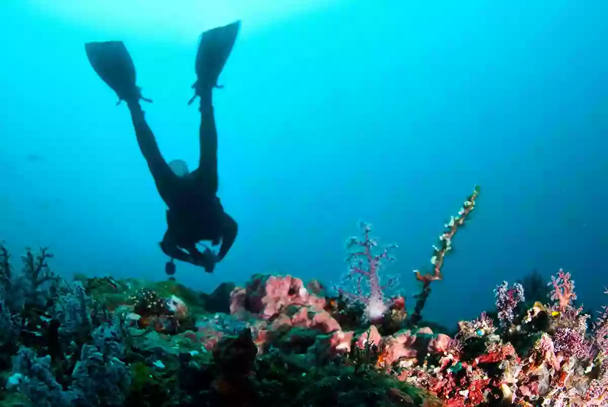 Buceo Rías Baixas