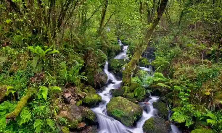 Turismo Rural de Galicia