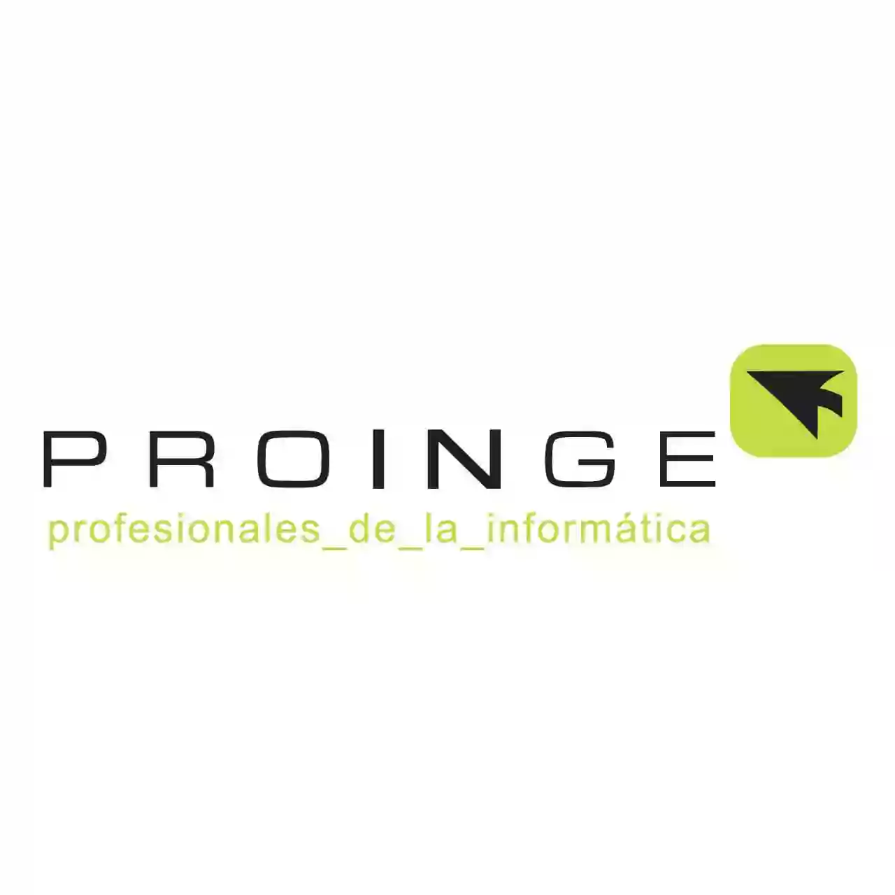 Proinge Pymes S.L.