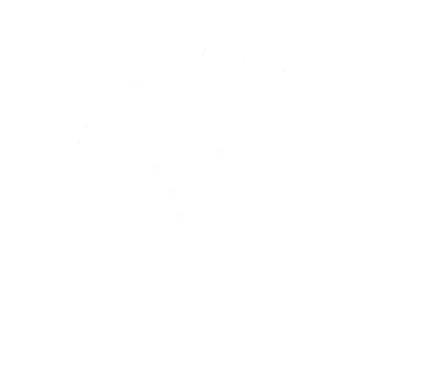 Limpiezas BT SLU