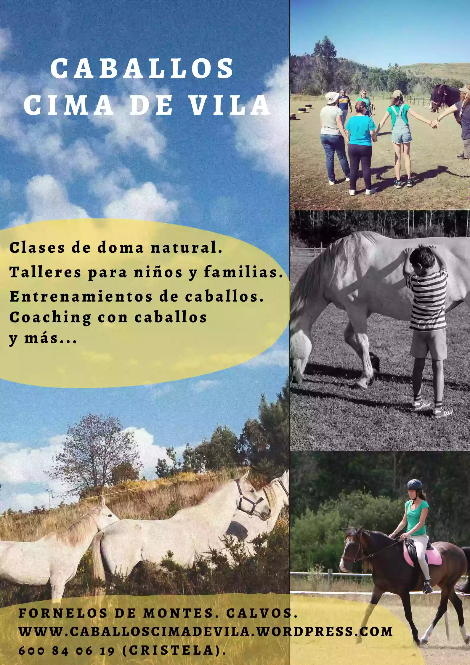 Caballos Cima de Vila, doma natural.