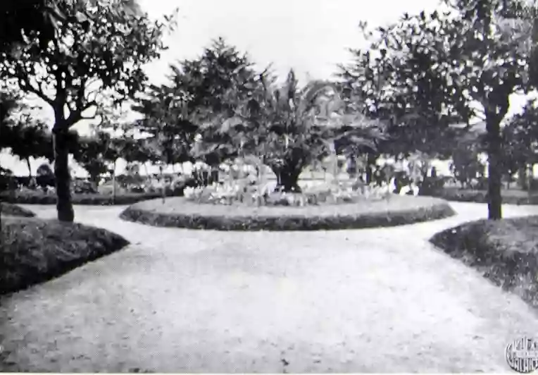 Jardines de Julio Davila