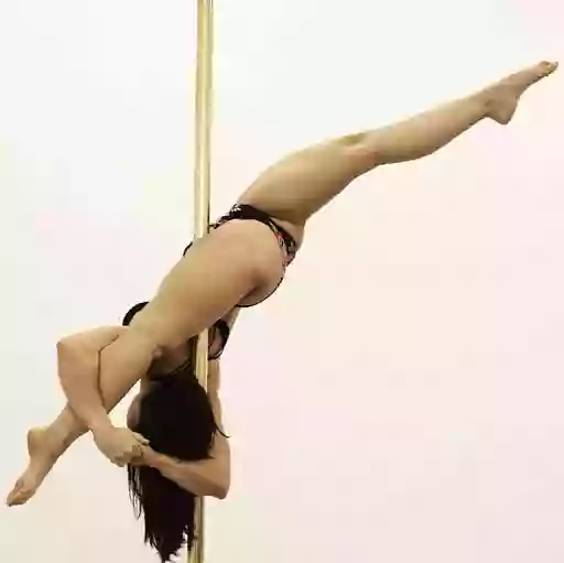 Lotus Aerofitness Pole Dance Studio