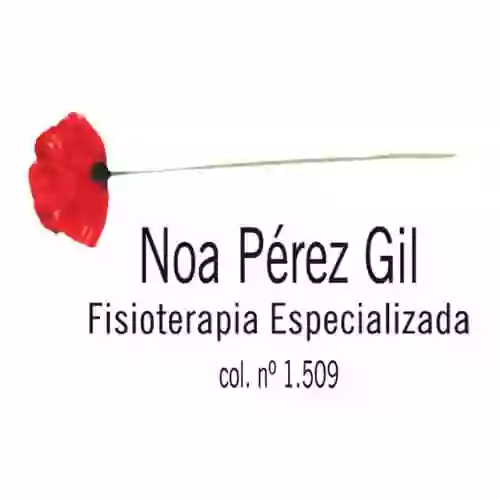 Fisioterapia Especializada Noa Pérez Gil