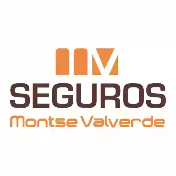 Seguros Montse Valverde