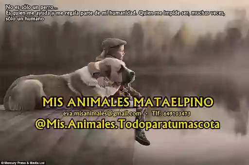 Mis Animales Mataelpino- Entrega a domicilio. Whastapp