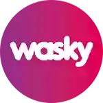 Wasky | Autolavado de mascotas Fuenlabrada