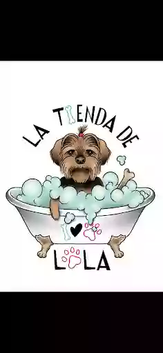 La tienda de Lola