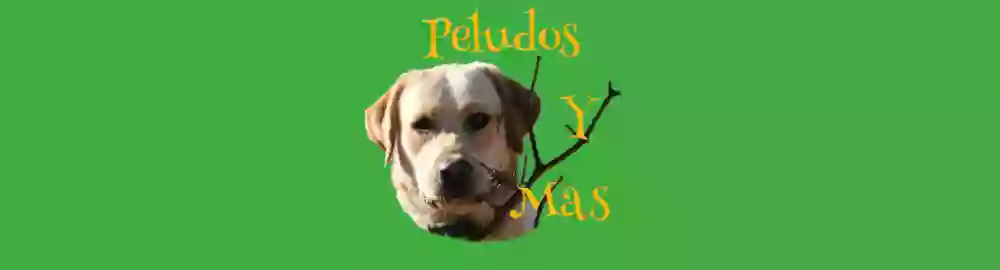 Peludos Y Mas