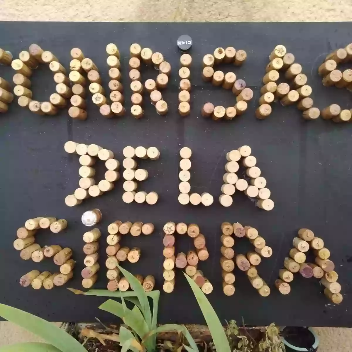 Sonrisas de la Sierra