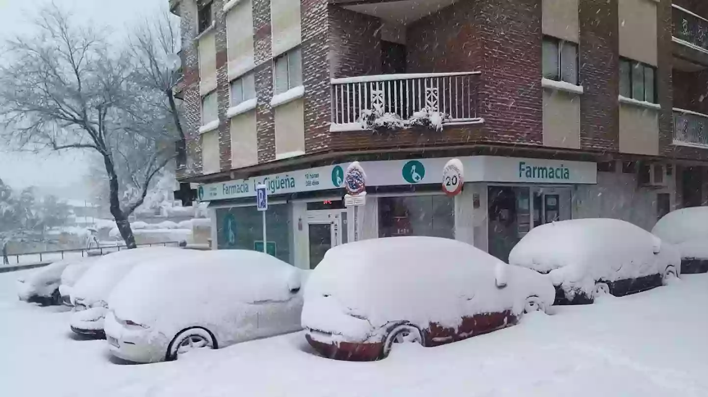 FARMACIA LA CIGÜEÑA