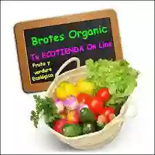 BROTES ORGANIC