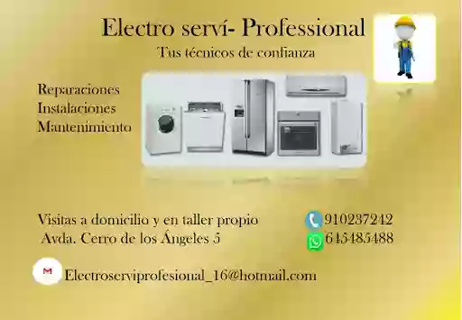 Electro servi Profesional