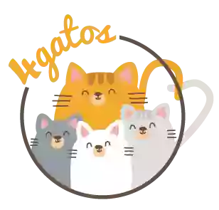 4Gatos Espacio Infantil