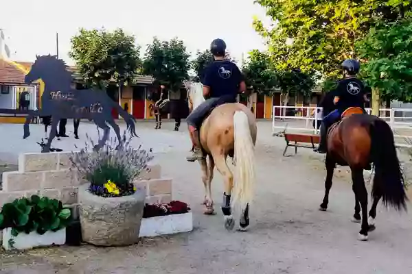 Centro Hipico El Cerrillo