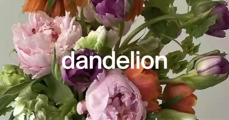 dandelion