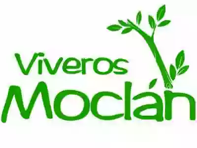 Viveros Moclán