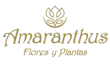 Amaranthus - Flores y Plantas