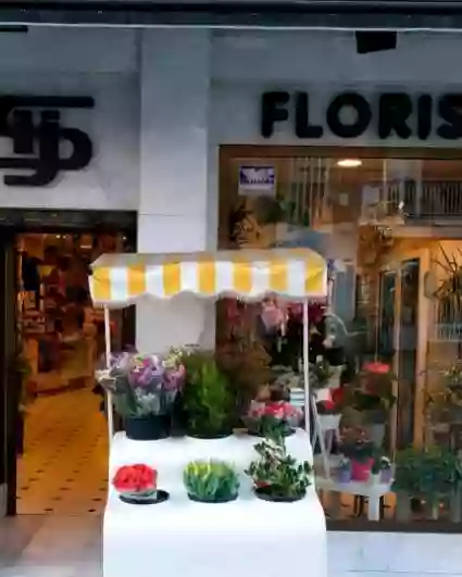 Floristeria San Isidro José