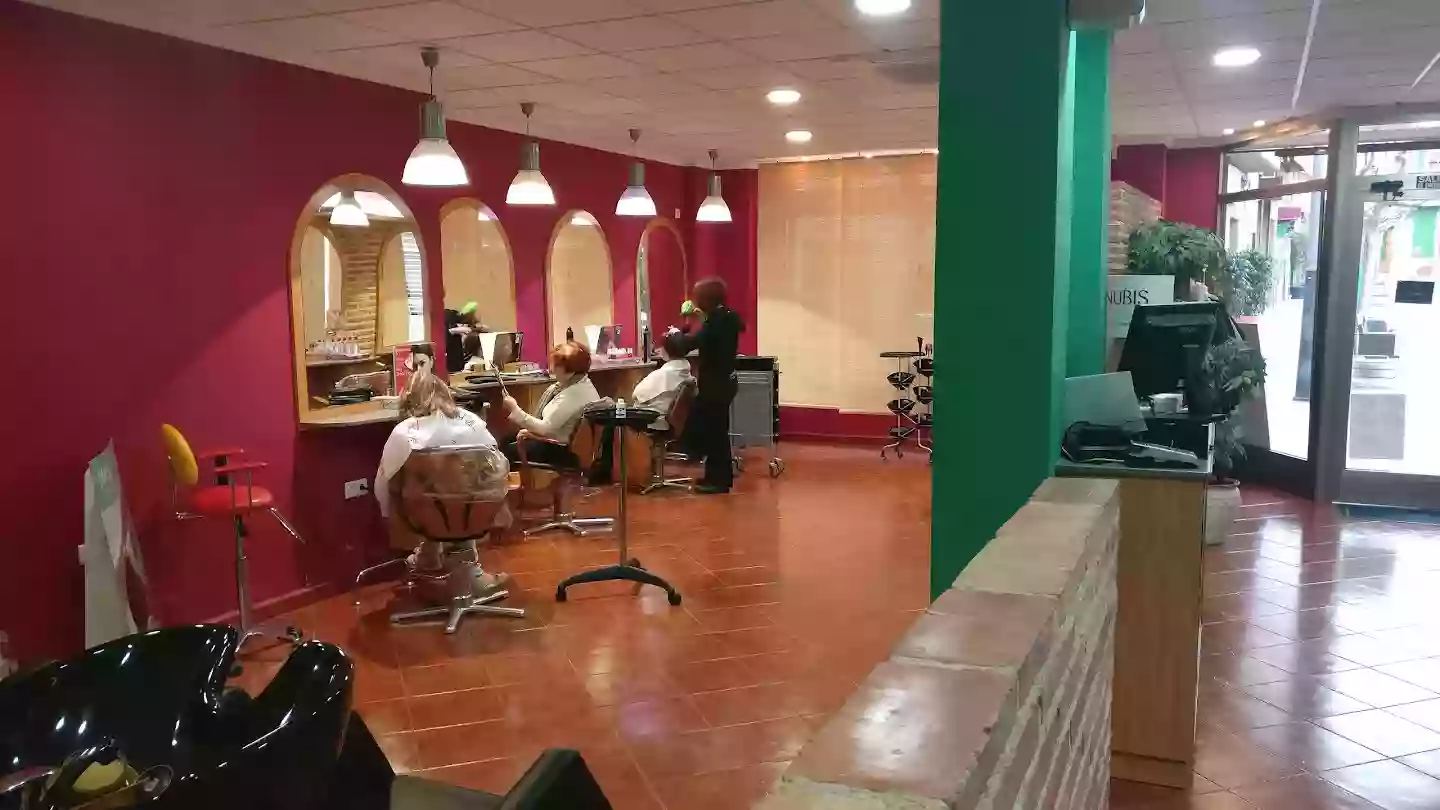 Peluqueria Y Estética Maria C. Ros