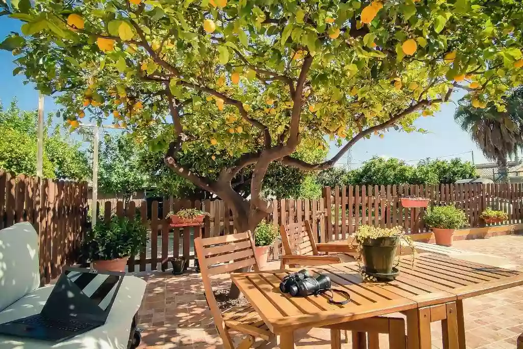 Casa de invitados tradicional con patio y piscina / jacuzzi - Alojamiento en la huerta de Lorca