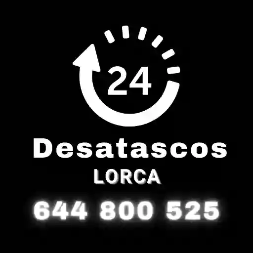 Desatascos Lorca 24