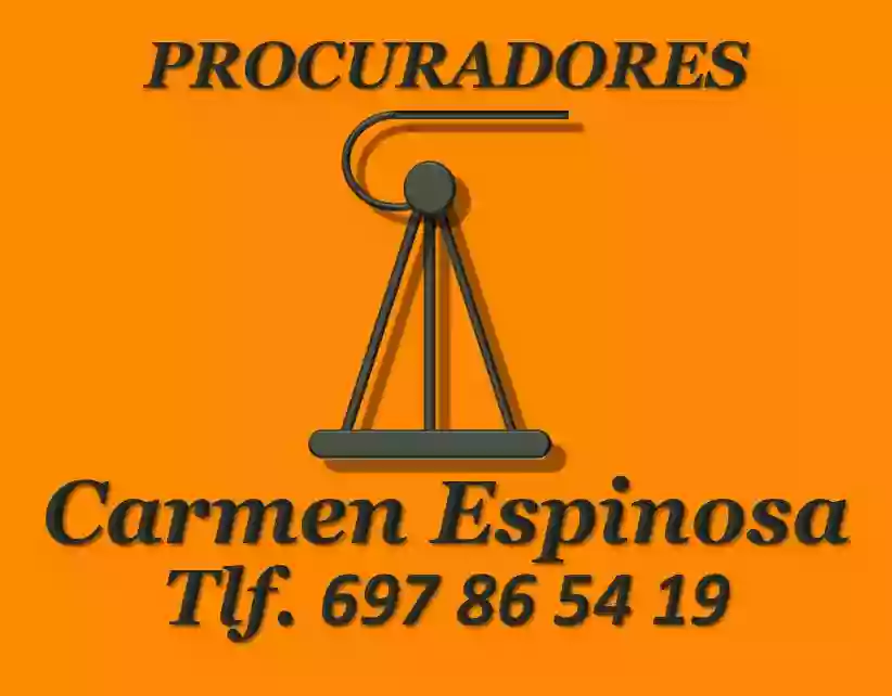 PROCURADORES SAN JAVIER Carmen Espinosa