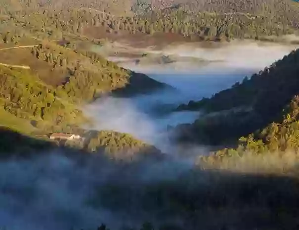 Iratiko Kabiak - Cabañas en los árboles Navarra