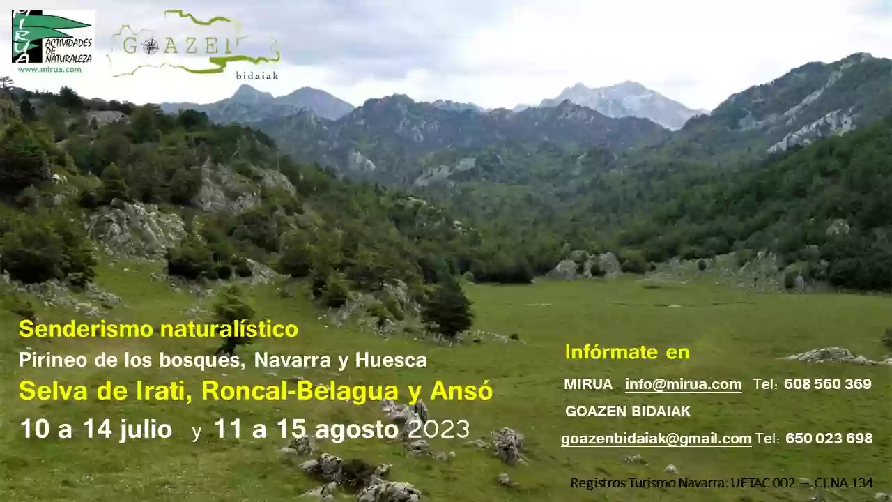 Mirua Actividades de Naturaleza