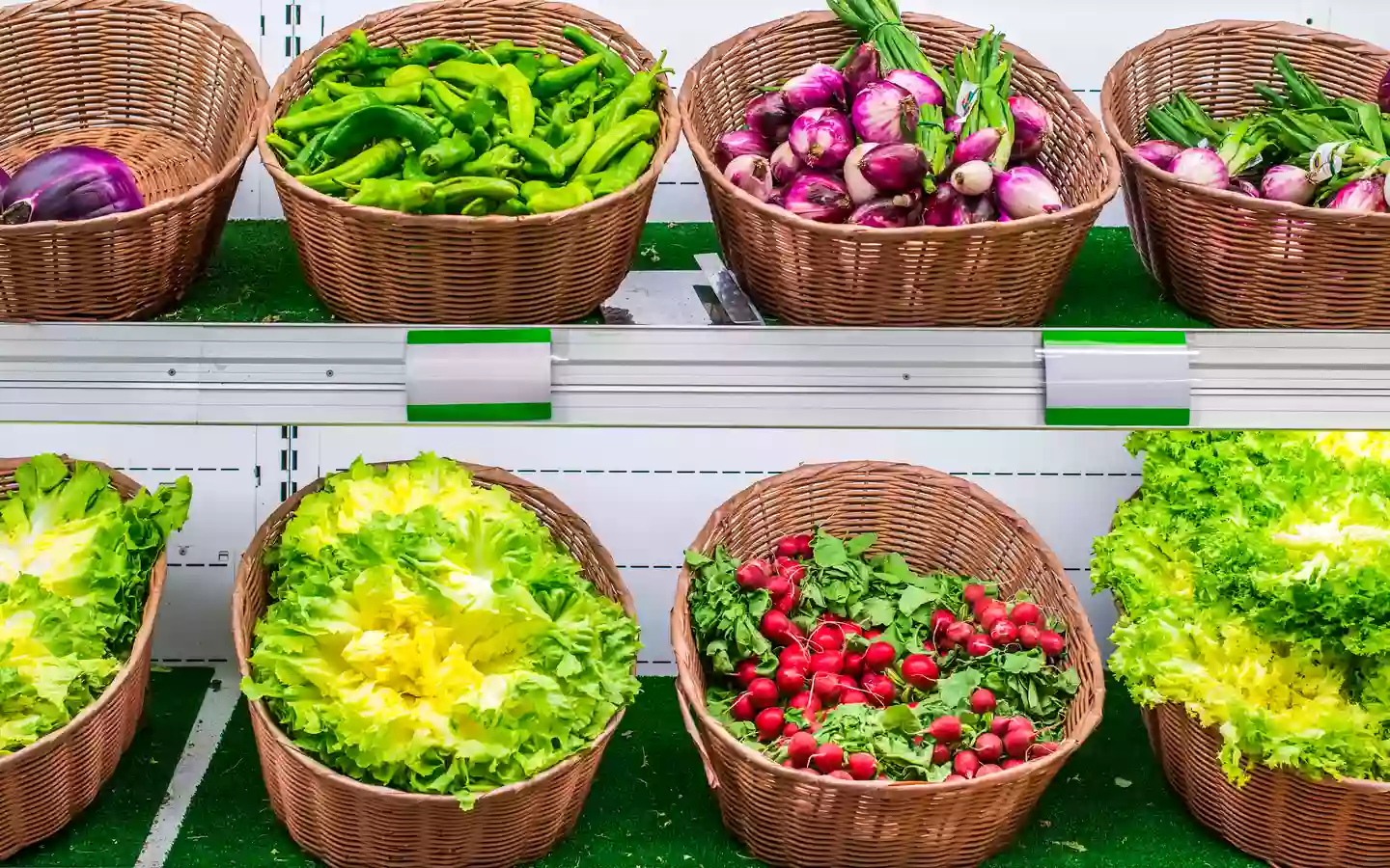 Alimentación y huerta Cendea de Olza