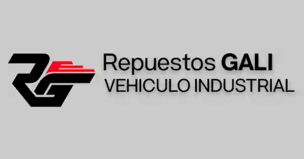 Repuestos Galí Vehículo Industrial S L