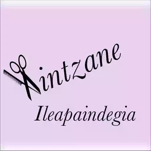 Aintzane Ileapaindegia