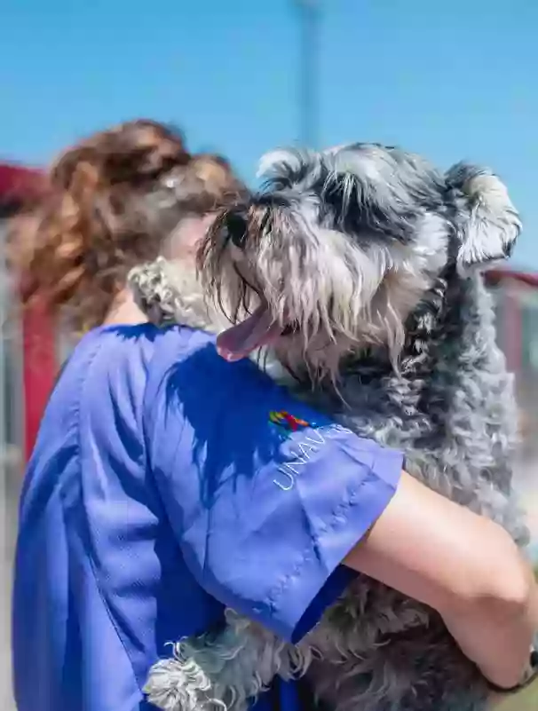 Residencia Canina Nanclares