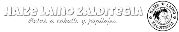 Haize Laino Zalditegia