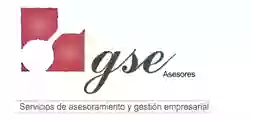 GSE ASESORES
